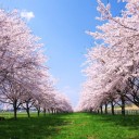 3月25日の日記