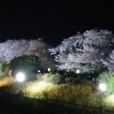 朔日餅（さくら餅）