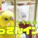 ぐうぜんにみつけて・・・
