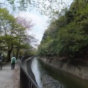 4月　歩こう会