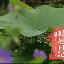 たいしょうてき・・・