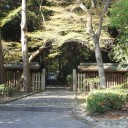 歩こう会    天智天皇陵