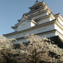 花の宴