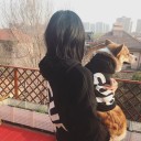 シュプリーム 犬服 夏用 supreme ブランド パロディ風 犬の服 安い