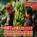 国産バナナが栽培可能に！