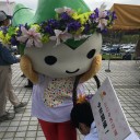 4/15 つつじまつり