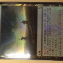 5/11（金）FNM、5/12（土）ギャザ無料体験会、モダン会、ポケカジムバトル、ポケカはじめてバトル、5/13（日）ショーダウン、ドミナリアドラフト開催のお知らせ