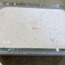 いちごのババロア