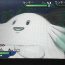 これはラッキーなのだろうか…