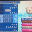 これはラッキーなのだろうか…