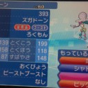 最速スピードで色違いゲット⁉色違いズガドーン降臨‼
