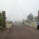 《濃霧/Fog(4ED)》と《花の絨毯/Carpet of Flowers(USG)》