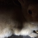 働かないと