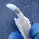 春の収穫