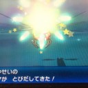 前にゲットした自然遭遇