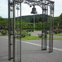 バラを見に