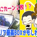 最近の活動報告