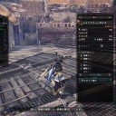 MHW12