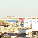 遠目に見えるのは？
