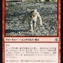 MTGスタンの赤化が懸念される　ドミナリア中央東日報