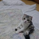 猫宿１日目