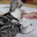 猫宿１日目