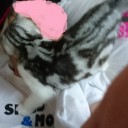 猫宿２日目
