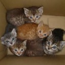 なにがこどもをふやせだ・・・