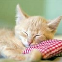 ねたこを・・・