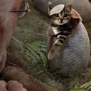 たのしみ・・・