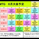 MTG《大会結果》６/１７『PPTQ・スタンダード/standard』