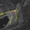 「逃げてください、逃げてください」。／あなたが棄てた子猫はカラスに襲われ、その後ゴミとして処理されました。　（中ＯＴＬ）