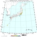 「逃げてください、逃げてください」。／あなたが棄てた子猫はカラスに襲われ、その後ゴミとして処理されました。　（中ＯＴＬ）