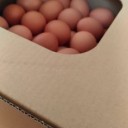 うふ、うふ、うふふふふふふふ