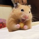 ああ・・・・