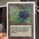 Black Lotus 白枠ゲットしました。