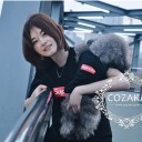 わんことペアTシャツ ブランド カッコイイ ペット洋服 おすすめ