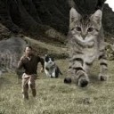 どこがよいのか・・・
