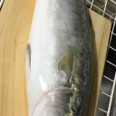 ヤズちゃん？