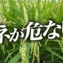 このくには・・・・