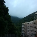 荒れた原野の問題♪