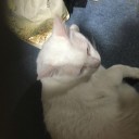 帰ってきた^_^