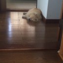 暑い！！