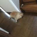 暑い！！