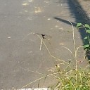 昼寝♪