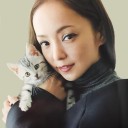 55日