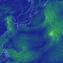【 業務の合間の幸せな休息 】この枕は必要なはず。／【 完 売 】してしまった...　（中OTL）