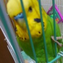 気にしない気にしない♪