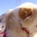 せきにんかん・・２