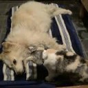 せきにんかん・・２